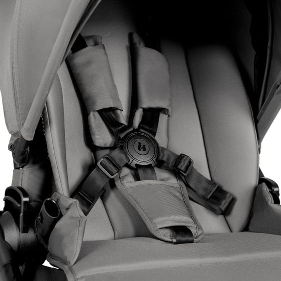 Hauck Sportsitz Grow N Care Sitzeinheit - Dark Grey