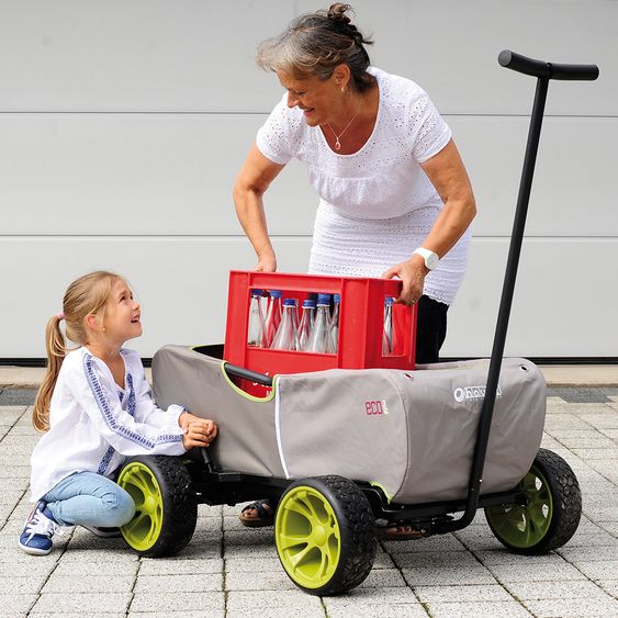 Hauck Toys for Kids Bollerwagen Eco Mobil - faltbar mit Dach, Transportwagen & Handwagen für 2 Kinder inkl. Spielplatzdecke 2in1 - Forest Green