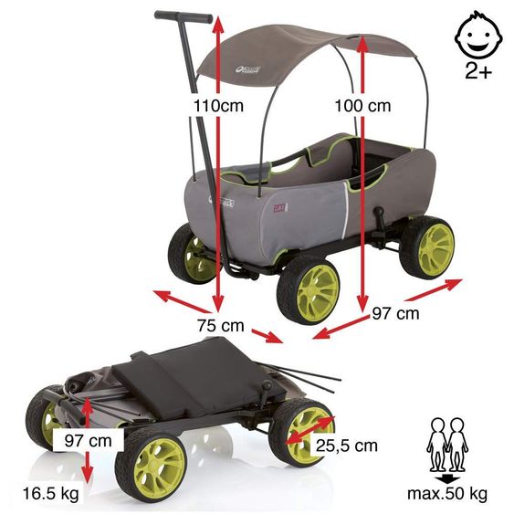 Hauck Toys for Kids Bollerwagen Eco Mobil Forest Green - faltbar mit Dach, Transportwagen & Handwagen für 2 Kinder