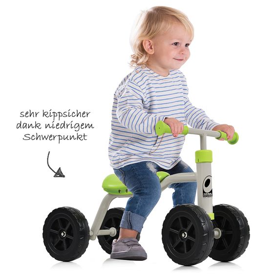 Hauck Toys for Kids Wheel & Scooter - First Ride (from 1 year) - Green