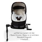 Product Image-12