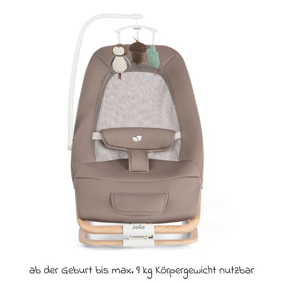 joie Babywippe Dreamer ab Geburt - 3 Jahre mit Mobile, Sound & Vibration - Strata Acorn
