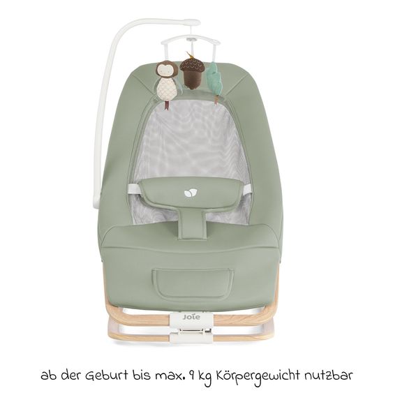 joie Babywippe Dreamer ab Geburt - 3 Jahre mit Mobile, Sound & Vibration - Strata Mist