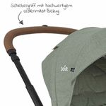 Product Image-16