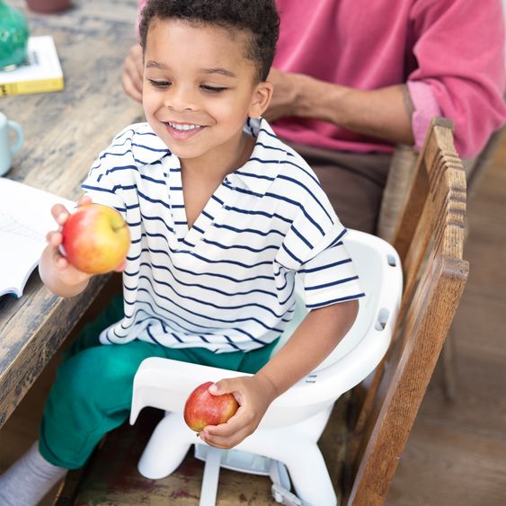 joie Hochstuhl Chestnut ab Geburt - 6 Jahre auch als Kinderstuhl nutzbar - Shadow