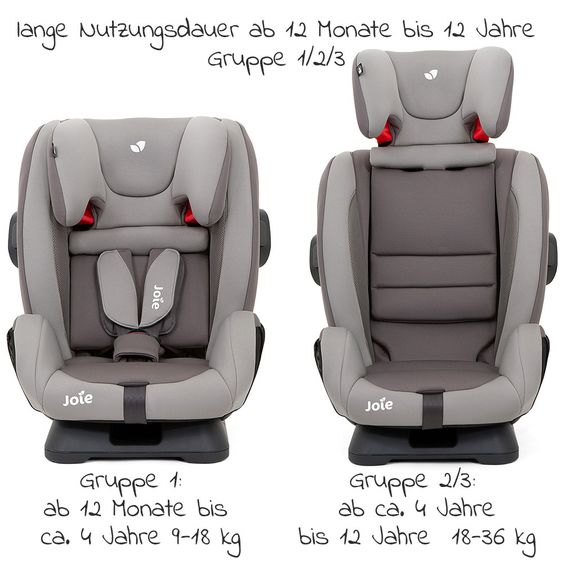 joie Child seat Fortifi R Group 1/2/3 - from 12 months - 12 years (9-36 kg) incl. Car - Organizer - Dark Peweter