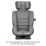Product Image-7
