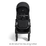 Product Image-2
