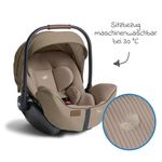 Product Image-16