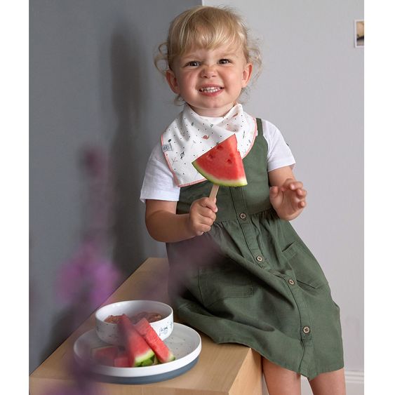 Lässig 3-tlg. Porzellan-Geschirr-Set rutschfest - Garden Explorer Boys