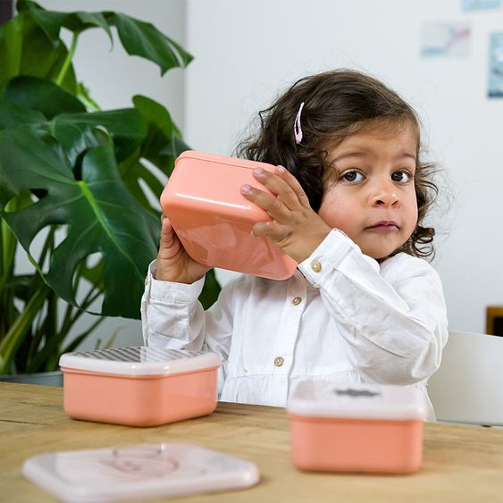 Lässig 3-tlg. Snackdosen-Set - Little Chums Mouse
