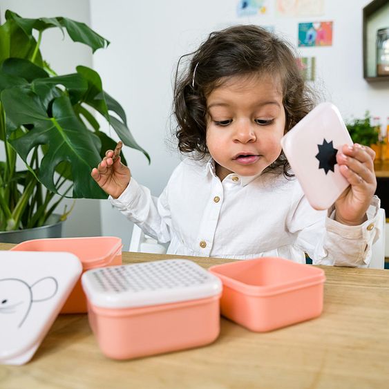 Lässig 3-tlg. Snackdosen-Set - Little Chums Mouse