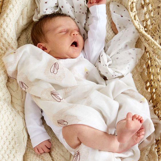 Lässig Einschlag- & Mulltuch 2er Pack Heavenly Soft Swaddle XL - Bambus 120 x 120 cm - Little Water Swan