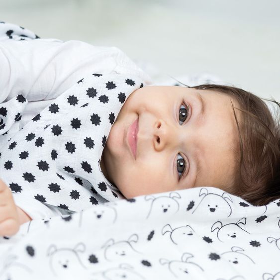 Lässig Einschlag- & Mulltuch 2er Pack Swaddle & Burp Blanket XL 120 x 120 cm - Little Chums Dog