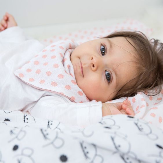 Lässig Einschlag- & Mulltuch 2er Pack Swaddle & Burp Blanket XL 120 x 120 cm - Little Chums Mouse