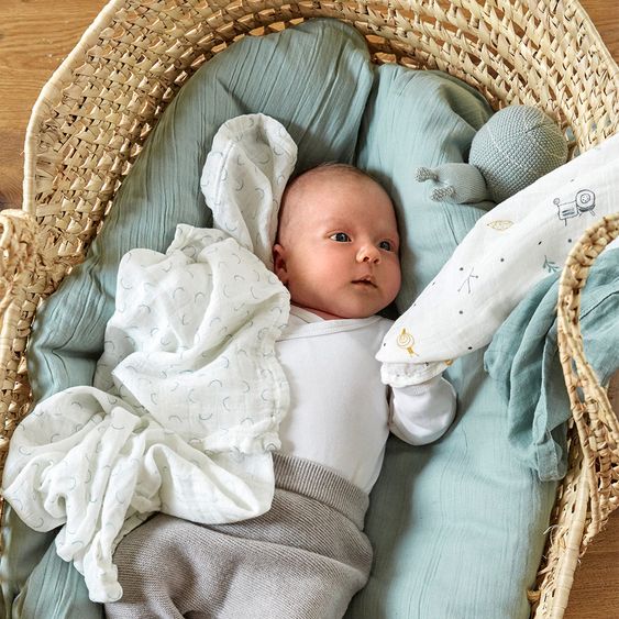 Lässig Mulltuch 3er Pack Heavenly Soft Swaddle L - Bambus 80 x 80 cm - Garden Explorer Boys