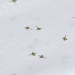 Product Image-12