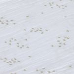 Product Image-11