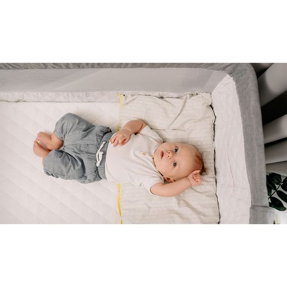 Lionelo Beistellbett inkl. Mosquitonetz & Organizer - Theo - Dunkelgrau