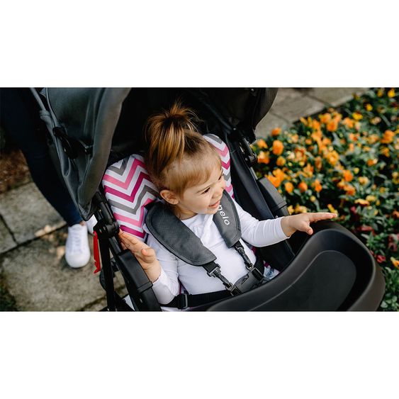 Lionelo Kinderwagen & Buggy - Emma Plus - Pink / Grau