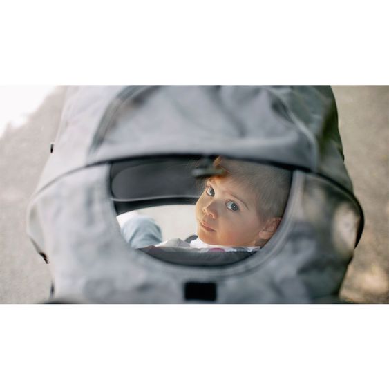Lionelo Kinderwagen & Buggy - Emma Plus - Pink / Grau