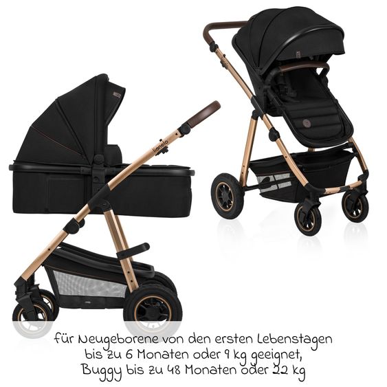Lionelo Passeggino Amber 2 in 1 - Nero Onice