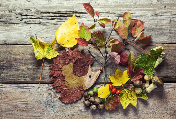basteln mit kindern, kreativität bei kindern fördern, igel aus herbstlaub