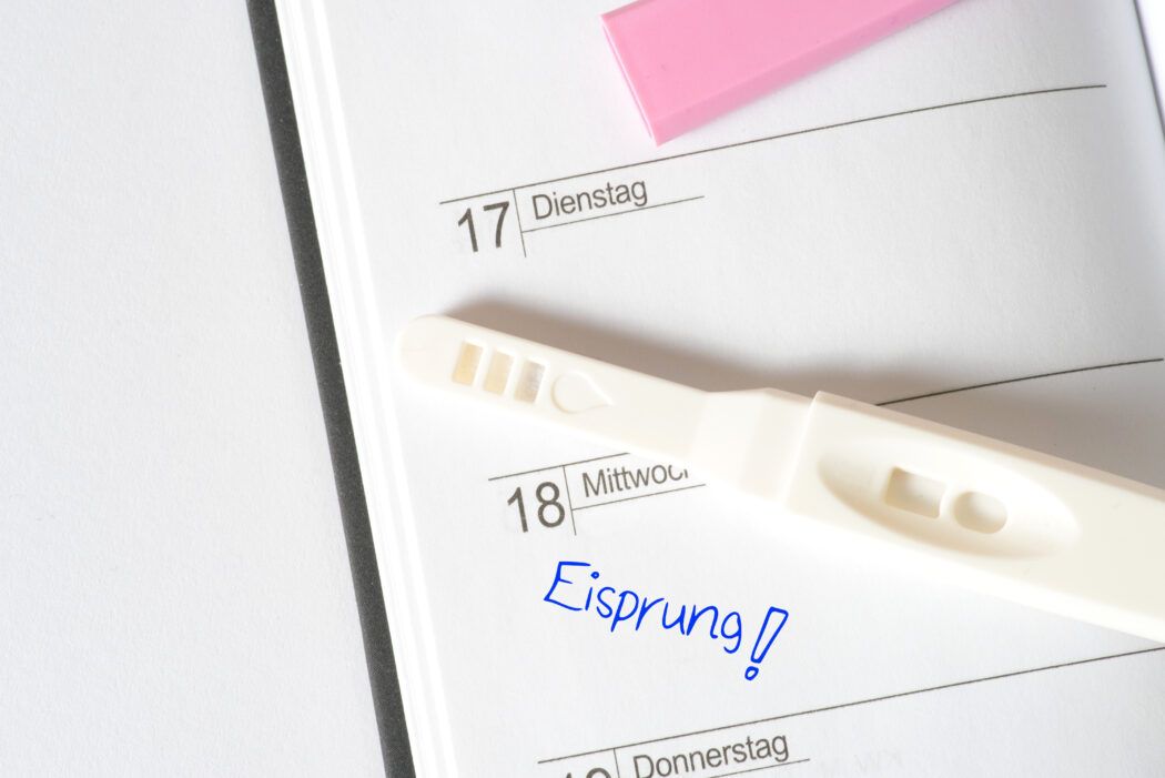 eisprung