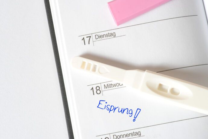 eisprung