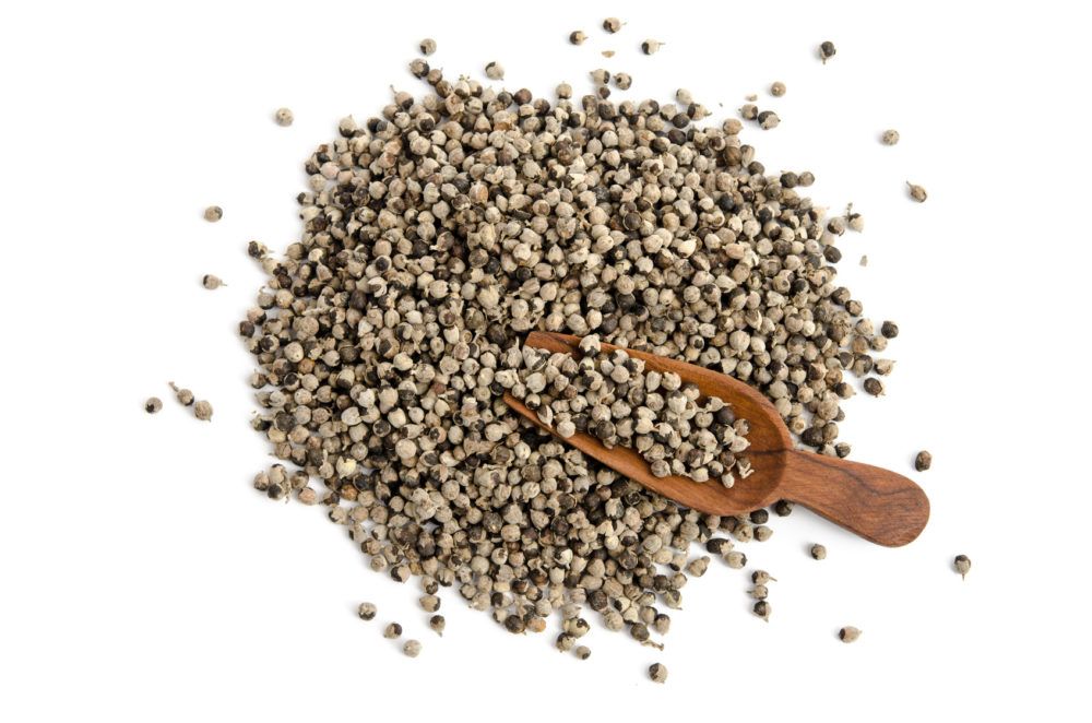 Mönchspfeffer