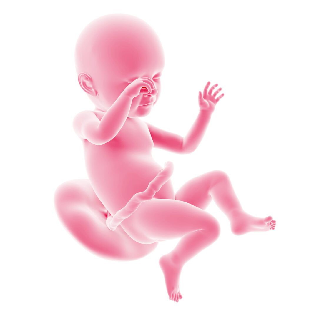 Dein Baby in der 39. SSW