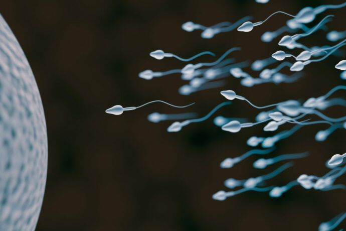 Spermaqualität