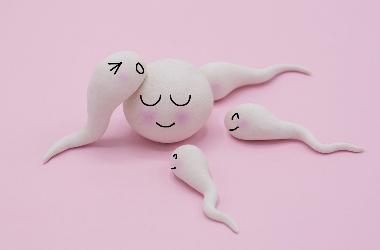 Ziehen Im Unterleib Nach Gv Und Eisprung Ziehen im Unterleib: Schwanger, Eisprung oder Alarmsignal?