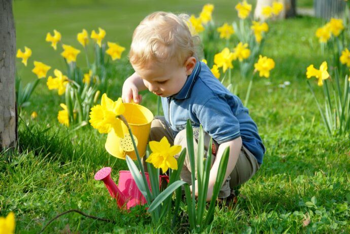 jahreszeiten kleinkind erklären, kleinkind tulpen