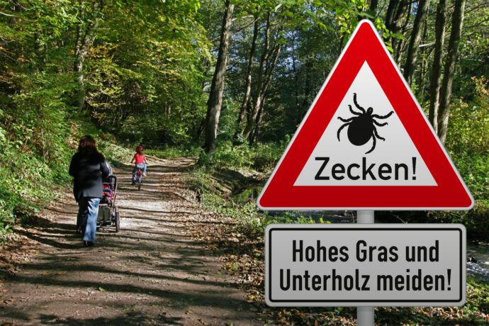 Baby hat eine Zecke Zeckenbiss beim Kind