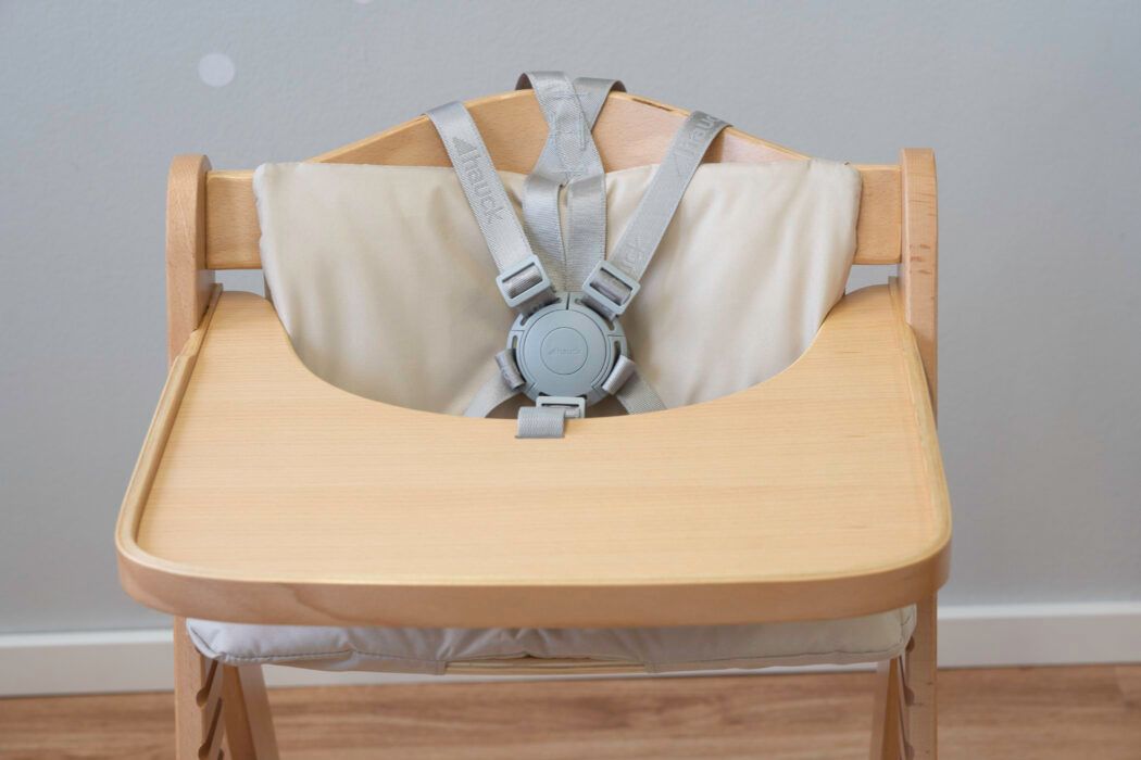 hauck alpha plus move gurt