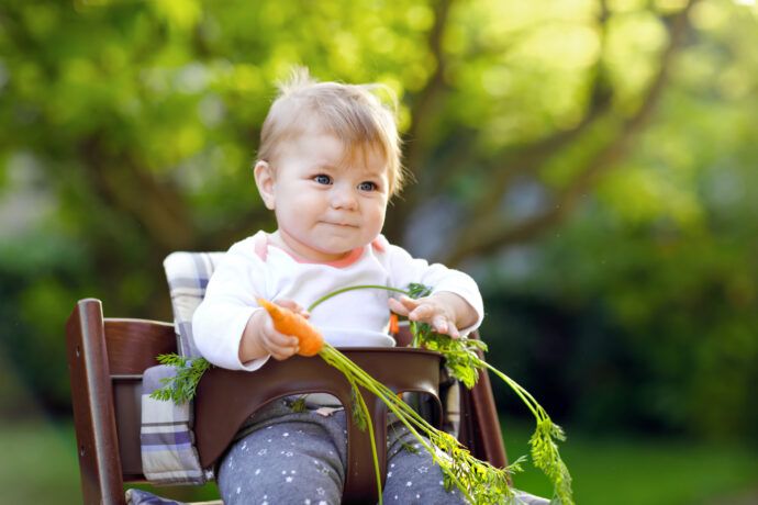 kleinkind mit karotte, baby mit möhre, kleinkind im hochstuhl, kleinkind mit kindergemüse