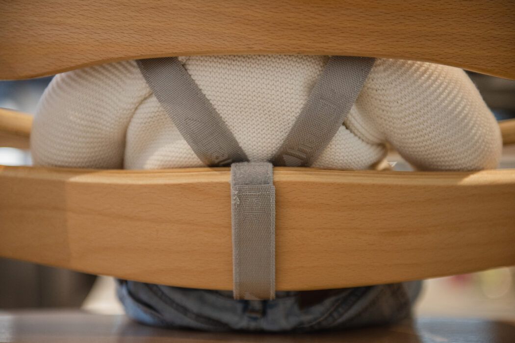 hochstuhl vergleich hauck alpha plus gurt r&uuml;ckansicht