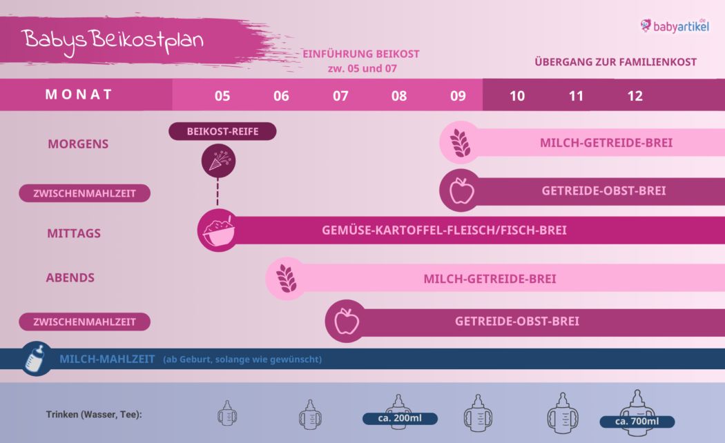 beikostplan grafik beikost beim baby schritt fuer schritt einfuehren