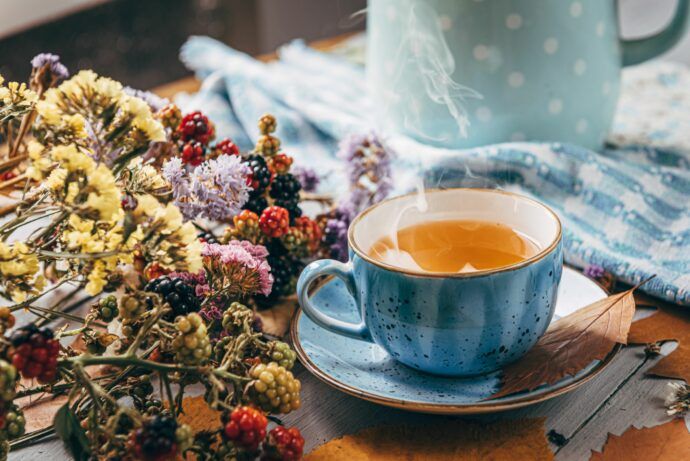 kräutertee schwangerschaft sorten fencheltee schwangerschaft, roibostee schwangerschaft, brennesseltee schwanger, welcher tee bei schwangerschaftsübelkeit, welcher tee bei erkältung schwangerschaft