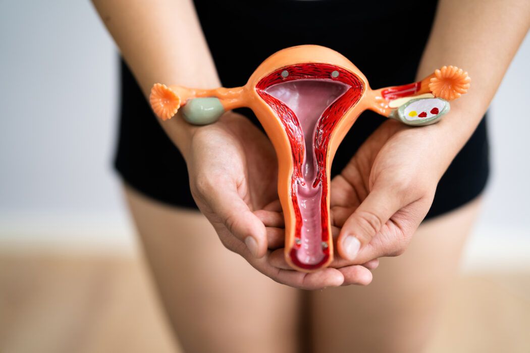 muttermund ertasten schwangerschaft, frühschwangerschaft, zyklus, nfp, fruchtbare tage, muttermund tasten, frau hält uterusmodell