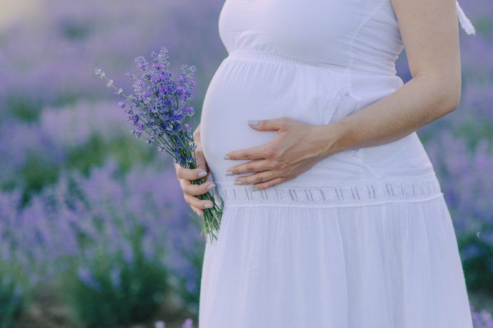 lavendel schwangerschaft, lavendel entspannungsbad schwangerschaft, lavendel geburt, lavendel tee schwanger, lavendel wehenfördernd, schwangere frau im lavendelfeld mit lavendelstrauß