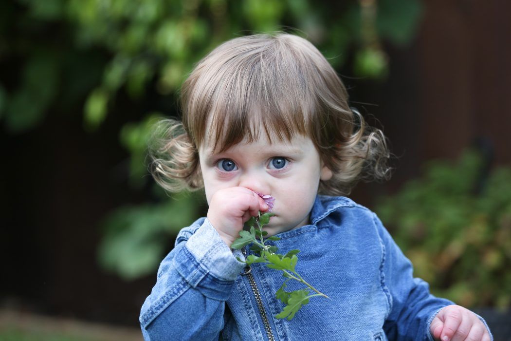 kind 17 monate, 17 monate altes mädchen riecht an einer blume