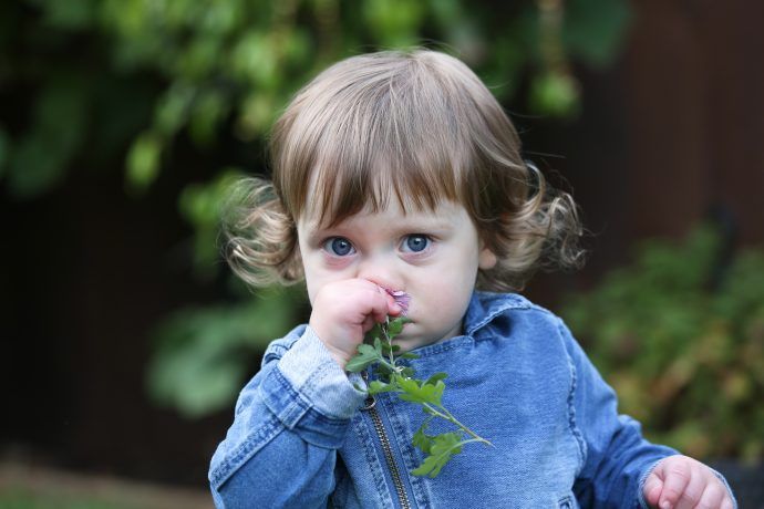 kind 17 monate, 17 monate altes mädchen riecht an einer blume