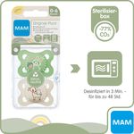 Product Image-6