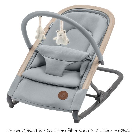 Maxi-Cosi Sdraietta 2 in 1 Kori dalla nascita con inserto per neonati solo 2,3 kg leggera - Beyound - Grigio Eco