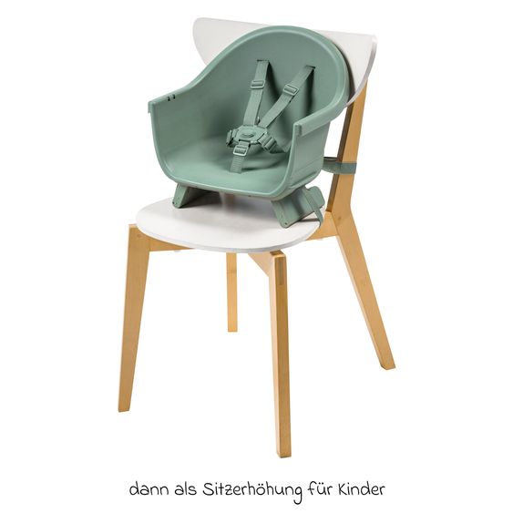 Maxi-Cosi 4-in-1 high chair Moa from 6 months - 5 years High chair, booster seat, table & chair - Beyond Green2 Eco