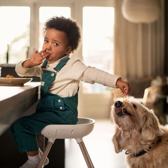 Maxi-Cosi 8in1 high chair Moa growing from 6 months-5 years high chair, booster seat, table, chair & stool - Beyond White