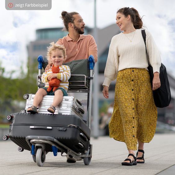 Maxi-Cosi Child seat Nomad Group 1 from 9 months - 4 years (9-18 kg) incl. Carrycot only 4.2 kg & Organizer - Authentic Black