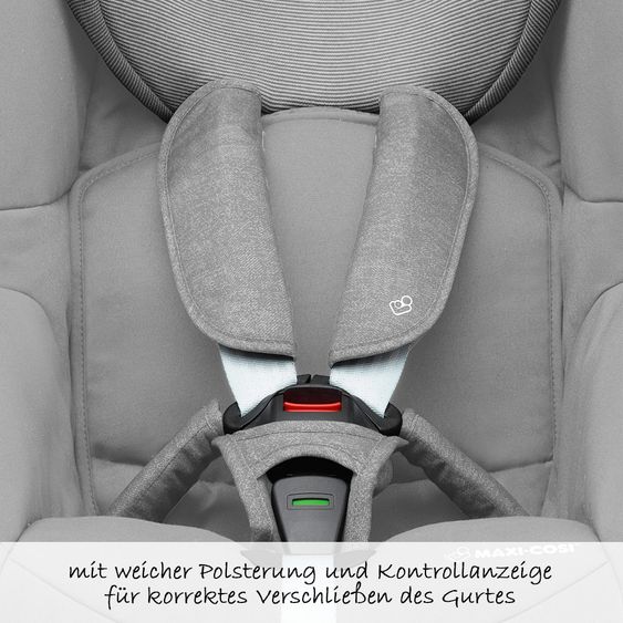 Maxi-Cosi Kindersitz Tobi - Grey - Nomad Grey